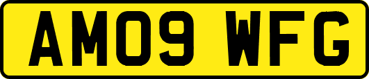 AM09WFG