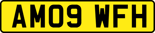 AM09WFH