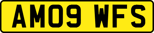 AM09WFS