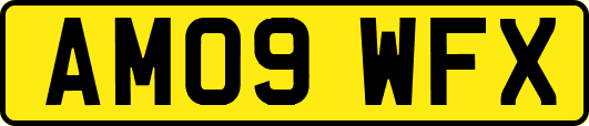 AM09WFX