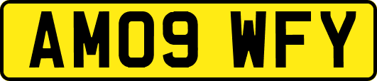 AM09WFY