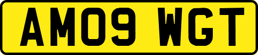 AM09WGT