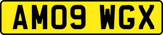 AM09WGX