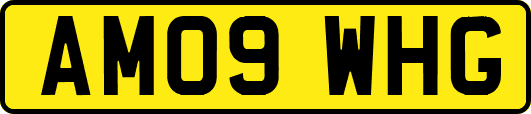 AM09WHG