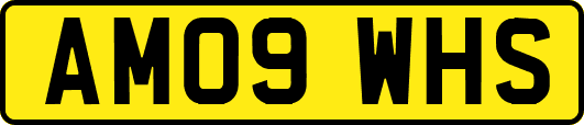 AM09WHS