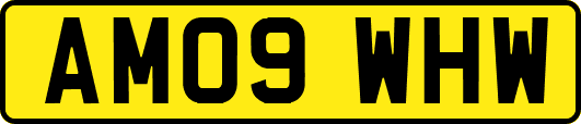 AM09WHW