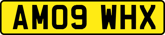 AM09WHX