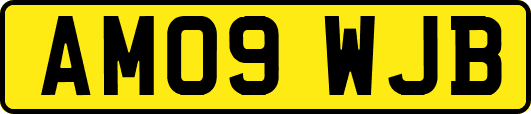 AM09WJB