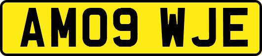 AM09WJE