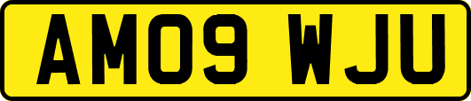 AM09WJU
