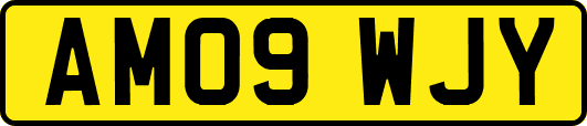 AM09WJY