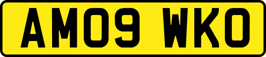 AM09WKO