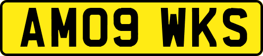 AM09WKS