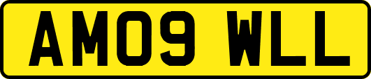 AM09WLL