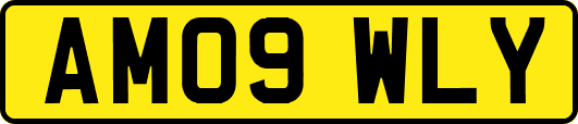 AM09WLY
