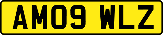 AM09WLZ