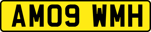 AM09WMH
