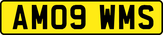 AM09WMS