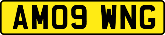 AM09WNG