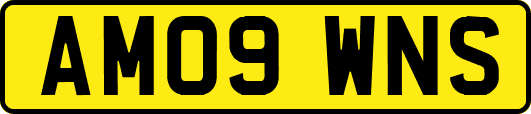 AM09WNS