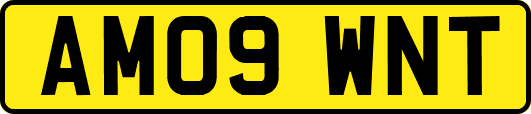 AM09WNT