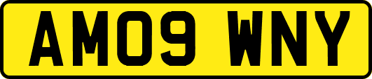 AM09WNY