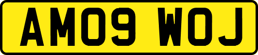 AM09WOJ