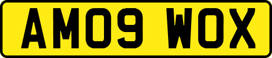 AM09WOX