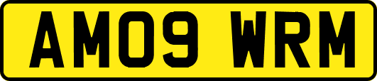AM09WRM