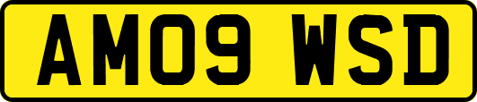 AM09WSD