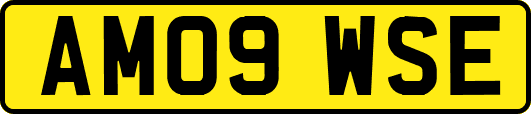 AM09WSE