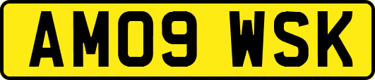AM09WSK