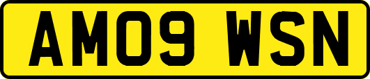 AM09WSN