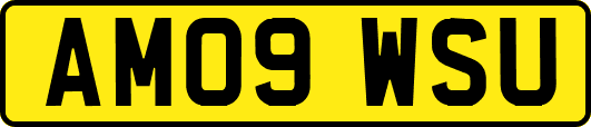 AM09WSU