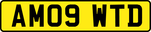 AM09WTD