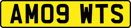 AM09WTS