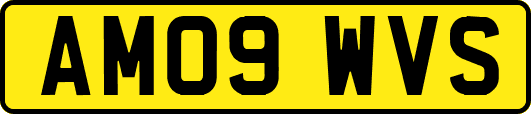 AM09WVS