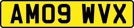 AM09WVX