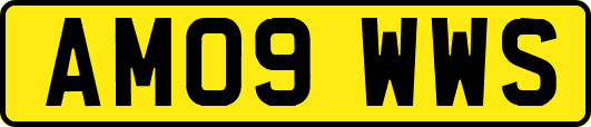 AM09WWS