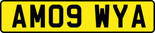 AM09WYA