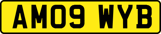 AM09WYB