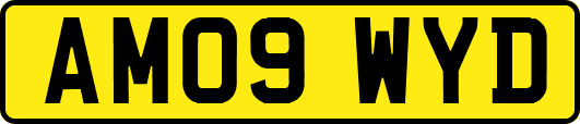 AM09WYD