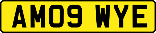 AM09WYE