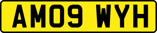 AM09WYH