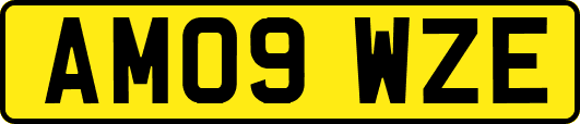 AM09WZE