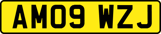 AM09WZJ
