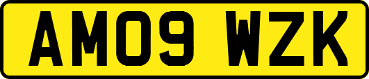 AM09WZK