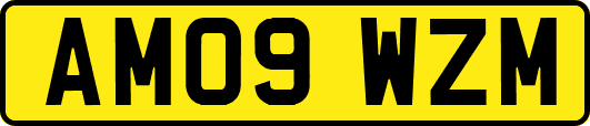 AM09WZM