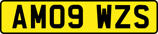AM09WZS