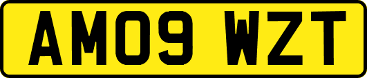 AM09WZT